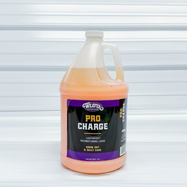 Pro Charge - Image 2
