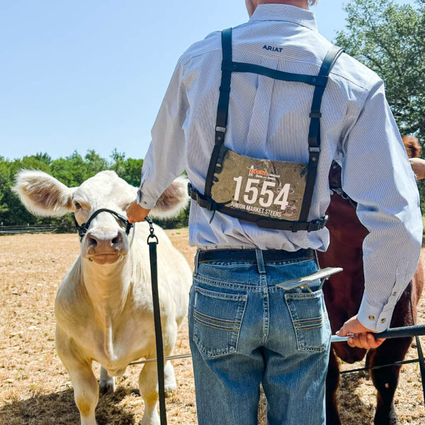 Show Harness