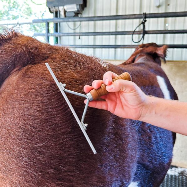 Build Your Comb