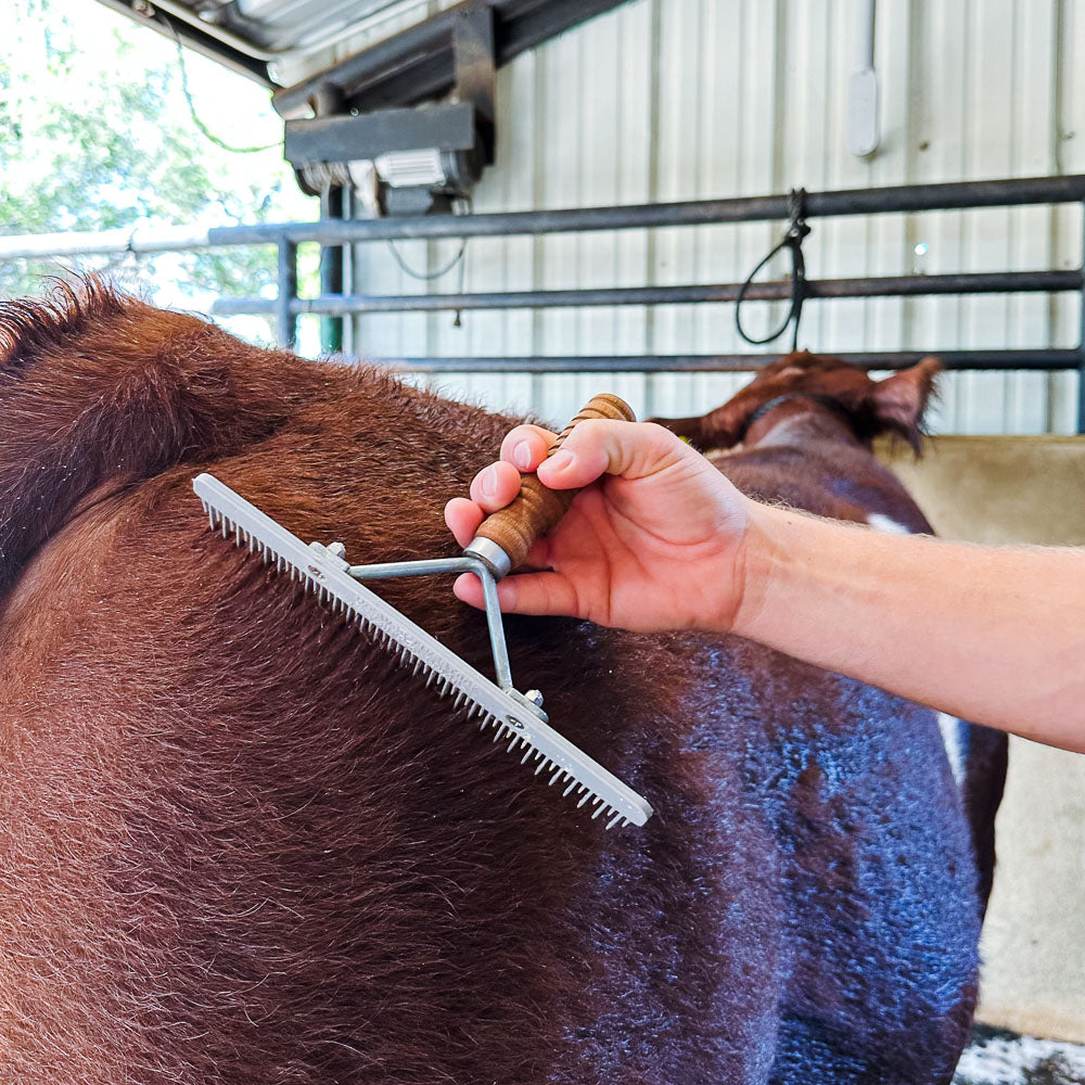 Build Your Comb