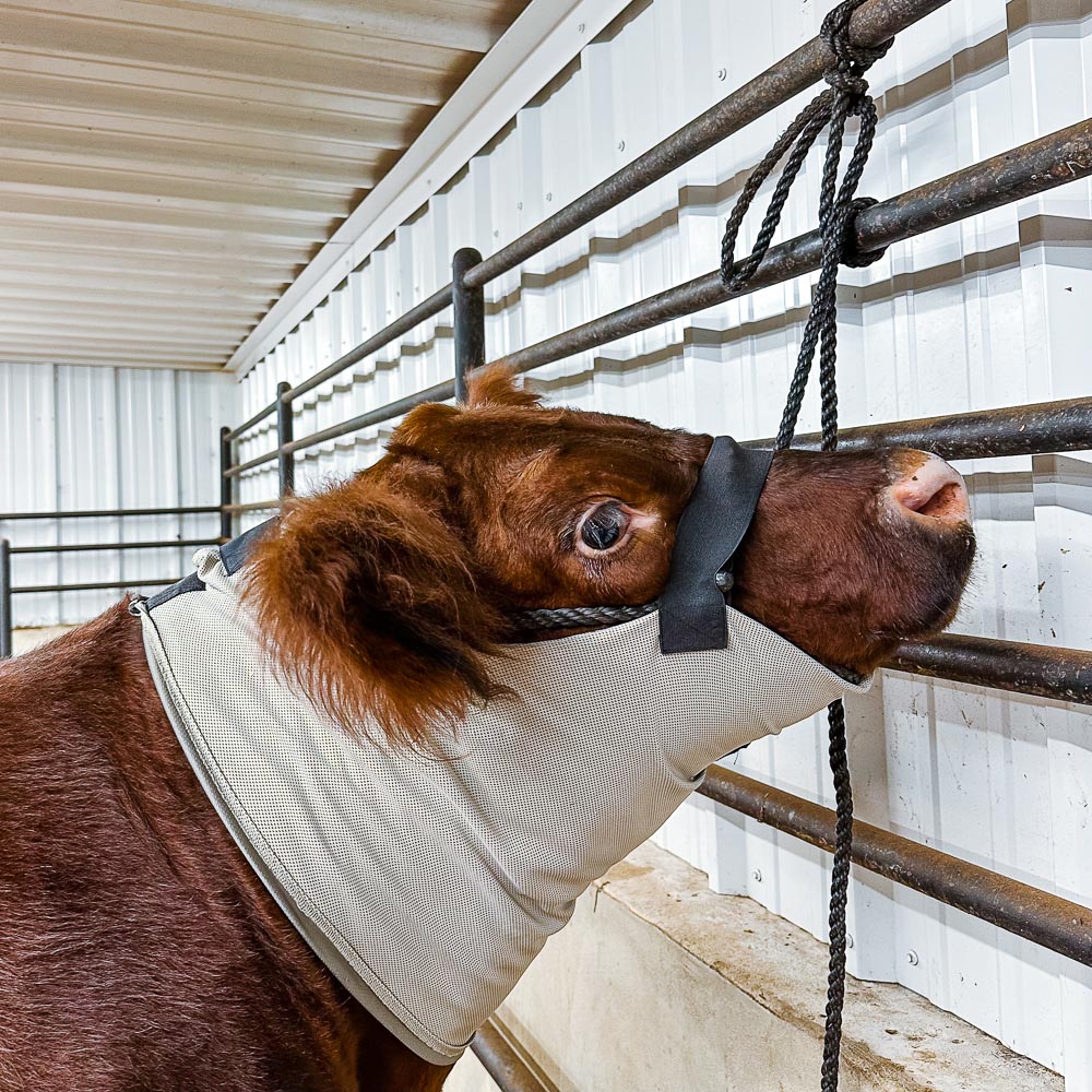 Cool Neck Wrap