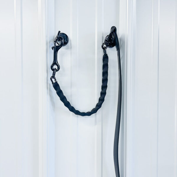 Show Leads