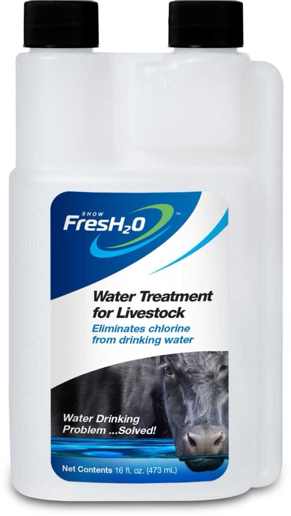Fresh H2O: Your Water Solution