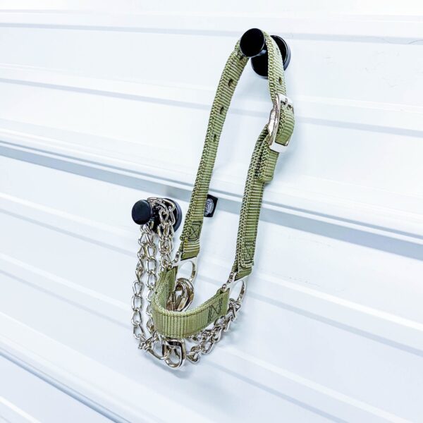 Nylon Adjustable Sheep Halter with Chain Lead - Image 2