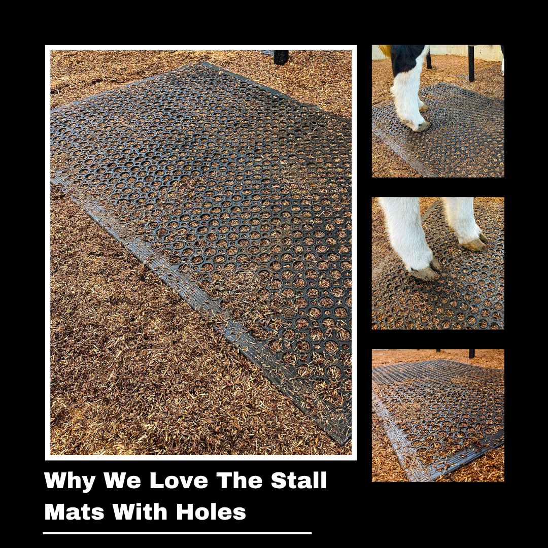 Featured image for “Why We Love The Stall Mats With Holes”