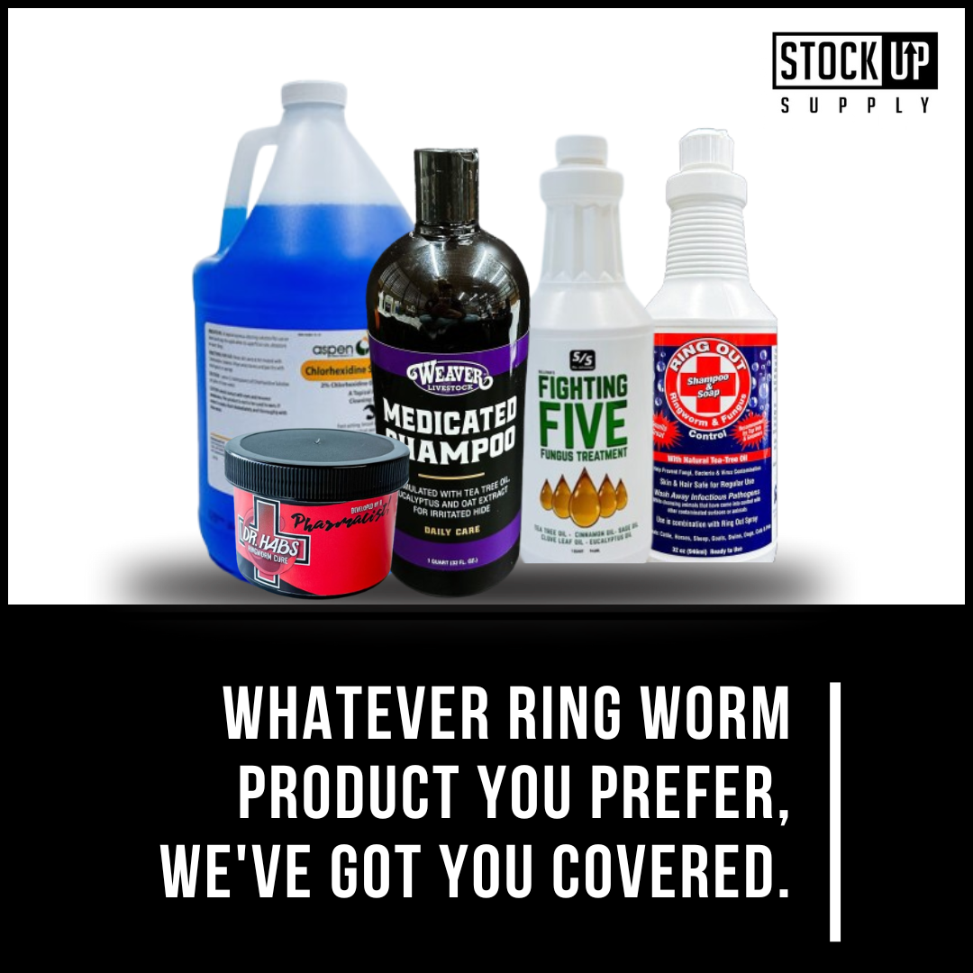 Featured image for “Ringworm — Be Prepared and Keep It From Spreading”