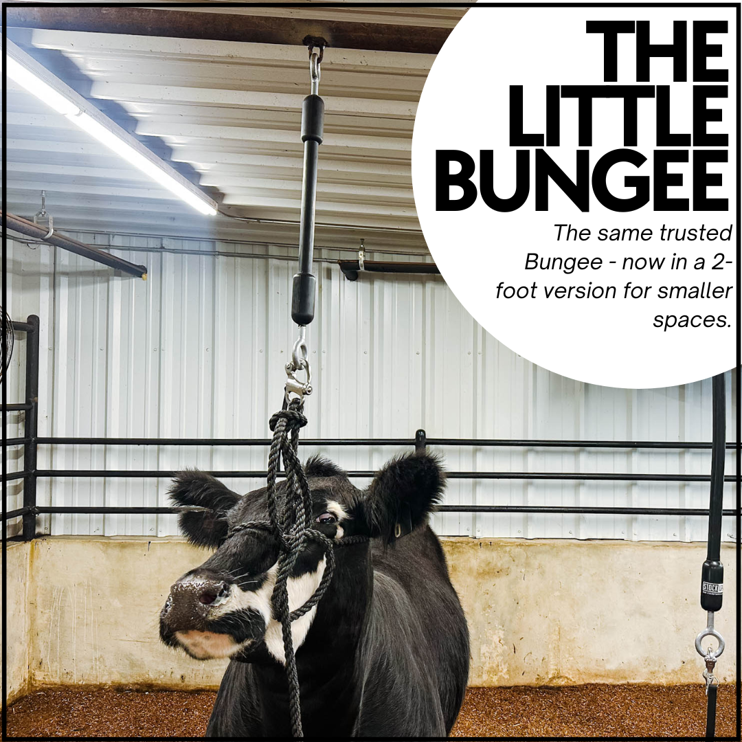Featured image for “Why You Might Need The Little Bungee”