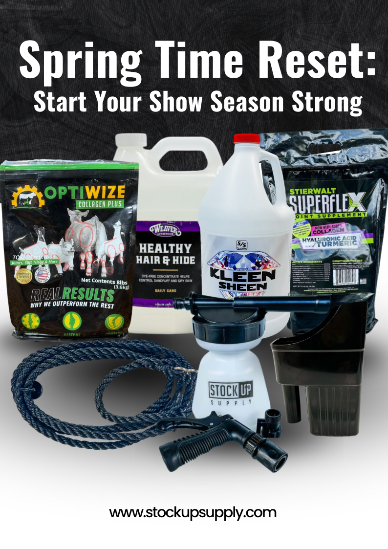 Featured image for “Spring Time Reset: Start Your Show Season Strong”