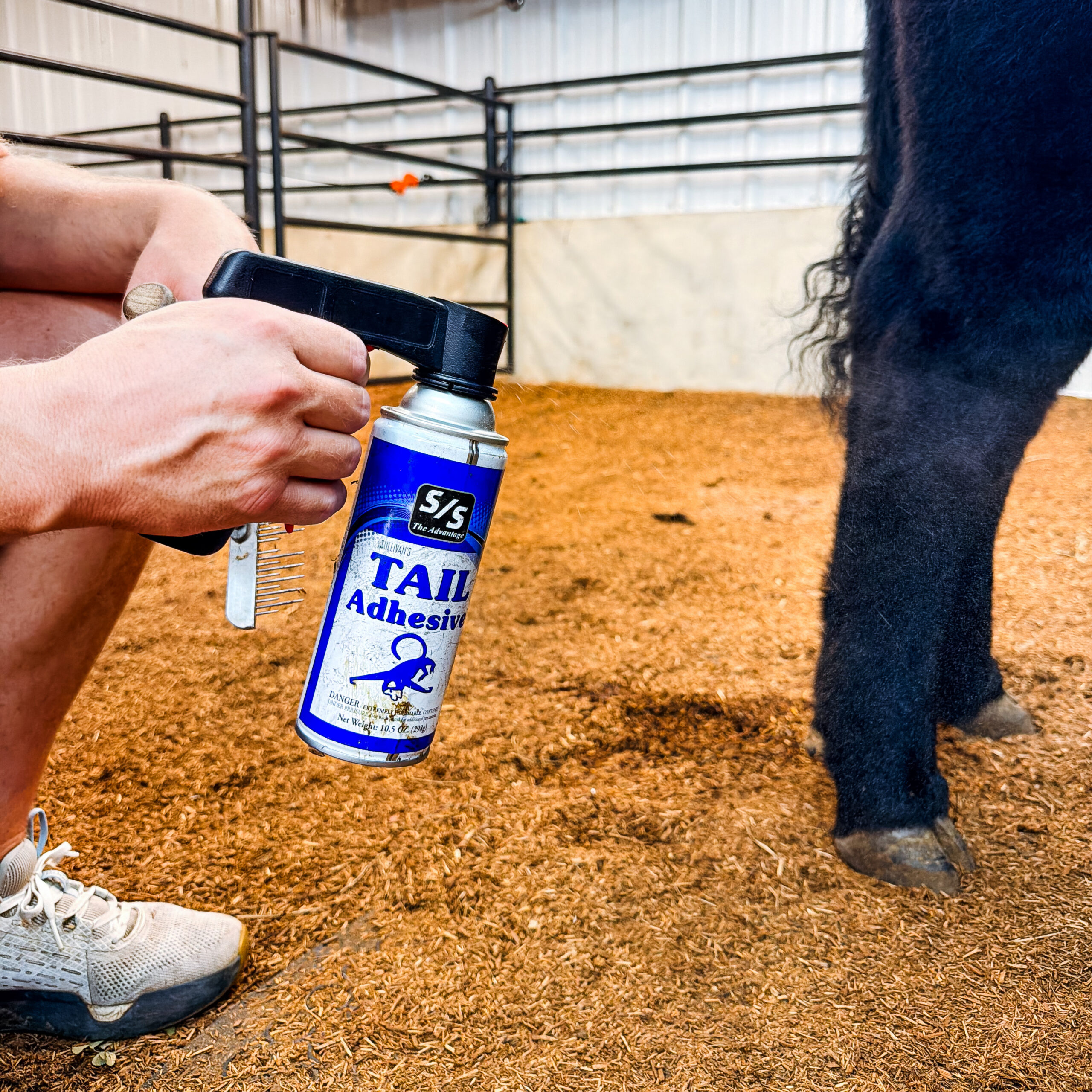 Easy Spray - Image 4