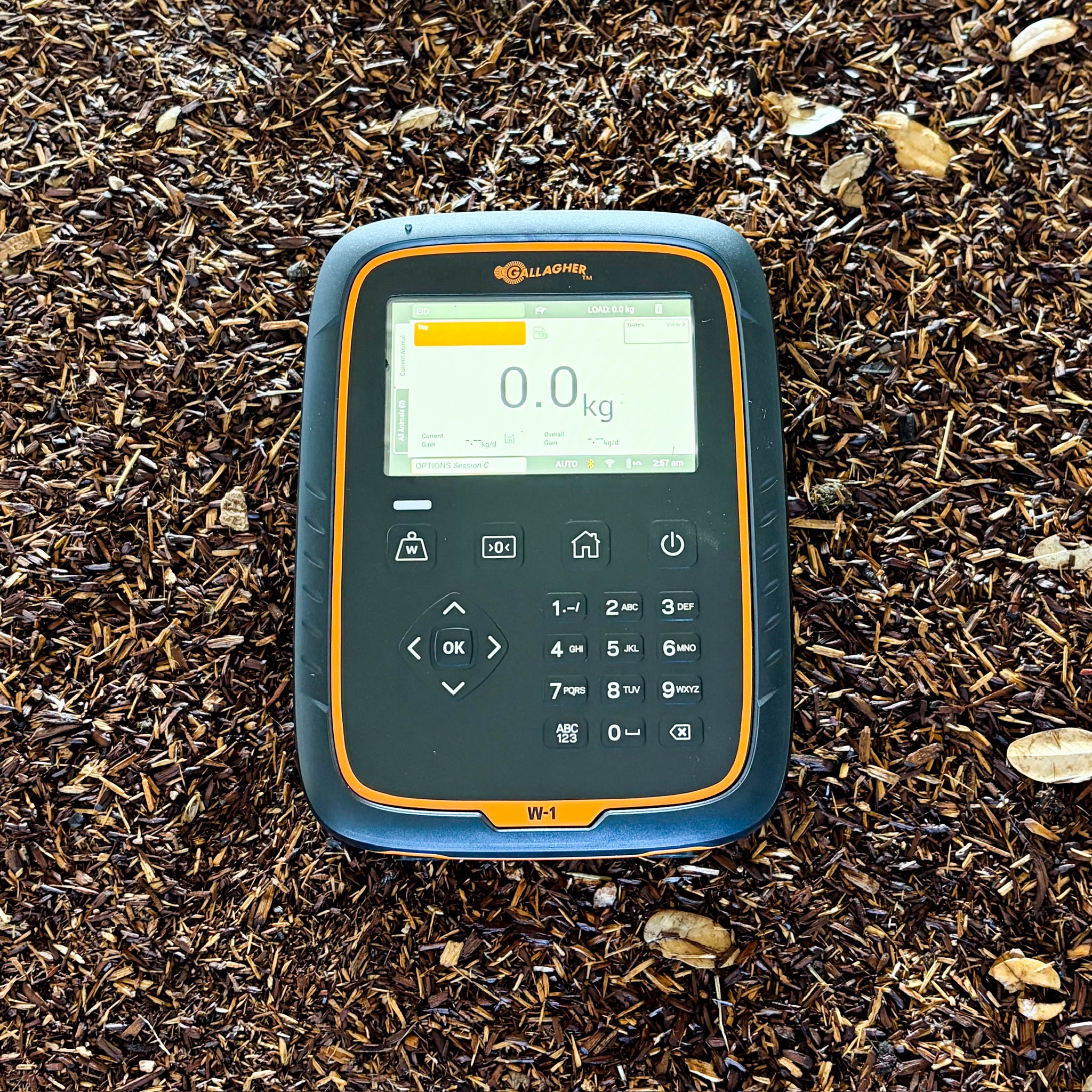 Gallagher W-1 Wireless Weigh Scale Bundle - Image 4